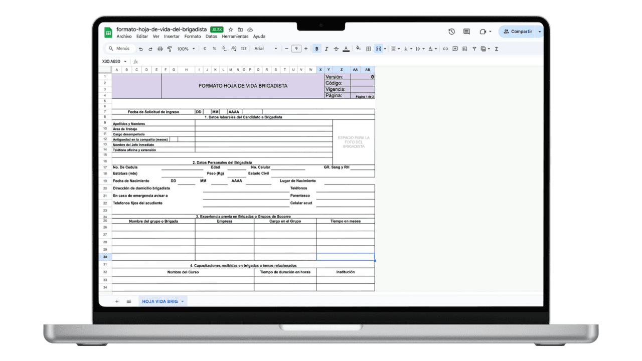 Vista previa de Formato de Hoja de Vida del Brigadista (Excel)