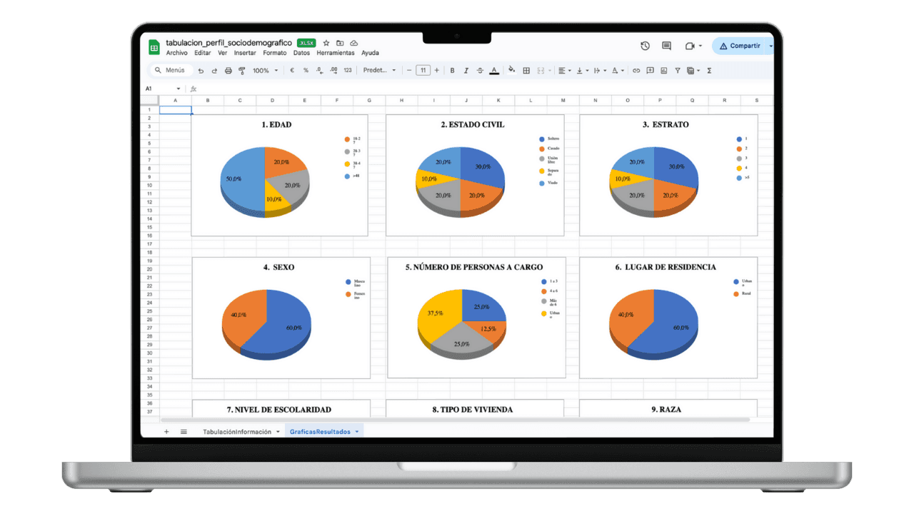 Vista previa de Matriz de Tabulación del Perfil Sociodemográfico